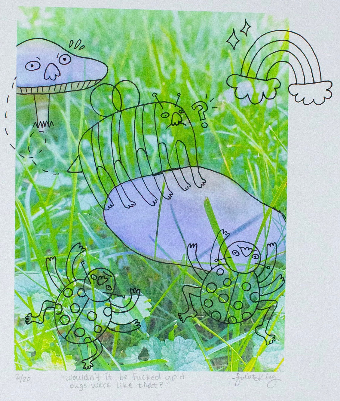 Wouldn't It Be Fucked Up If Bugs Were Like That? | Doodles on Mushroom Photograph