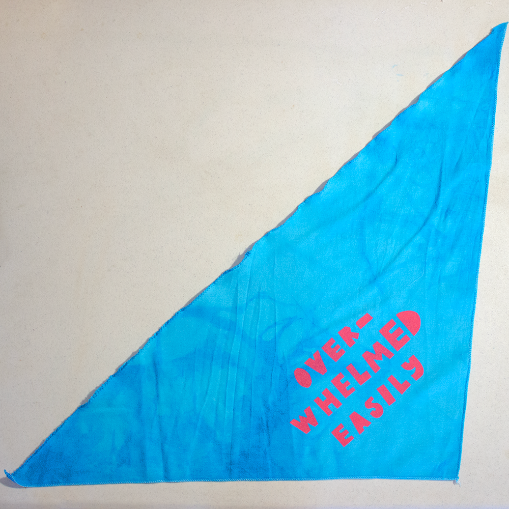 Pet Bandana | Stinky Baby or Overwhelmed Easily | Screen Printed & Hand Dyed Triangles