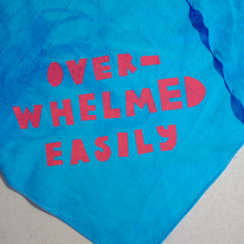 Pet Bandana | Stinky Baby or Overwhelmed Easily | Screen Printed & Hand Dyed Triangles