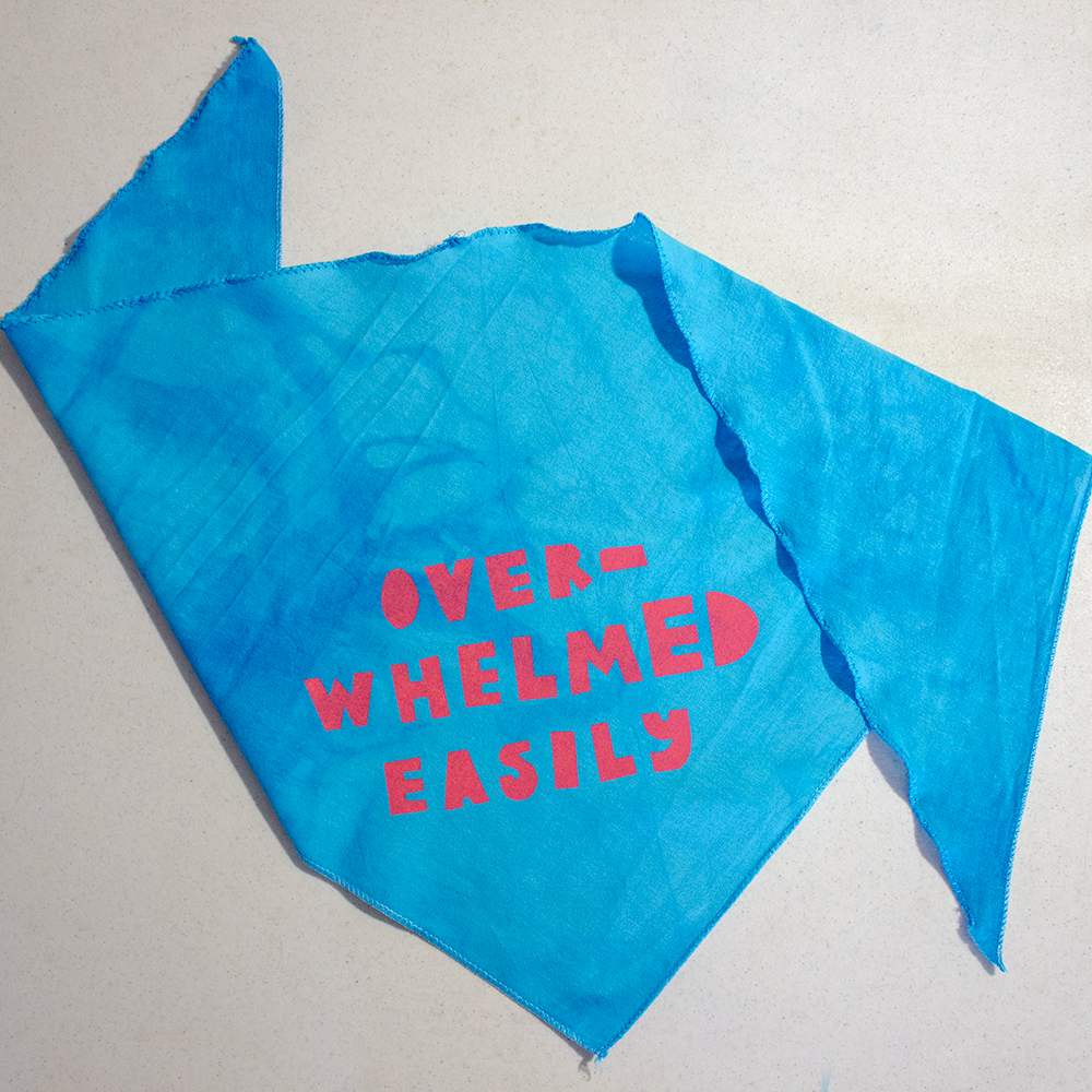 Pet Bandana | Stinky Baby or Overwhelmed Easily | Screen Printed & Hand Dyed Triangles