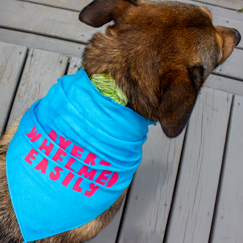 Pet Bandana | Stinky Baby or Overwhelmed Easily | Screen Printed & Hand Dyed Triangles