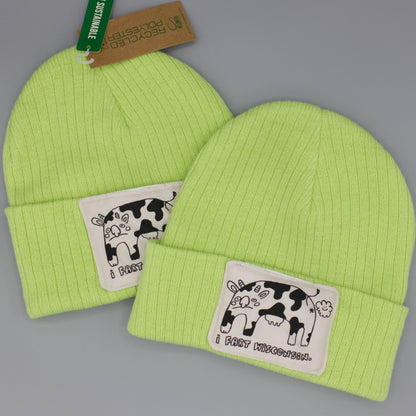 I Fart Wisconsin Beanie | Screen Printed Patch on Recycled Beanie