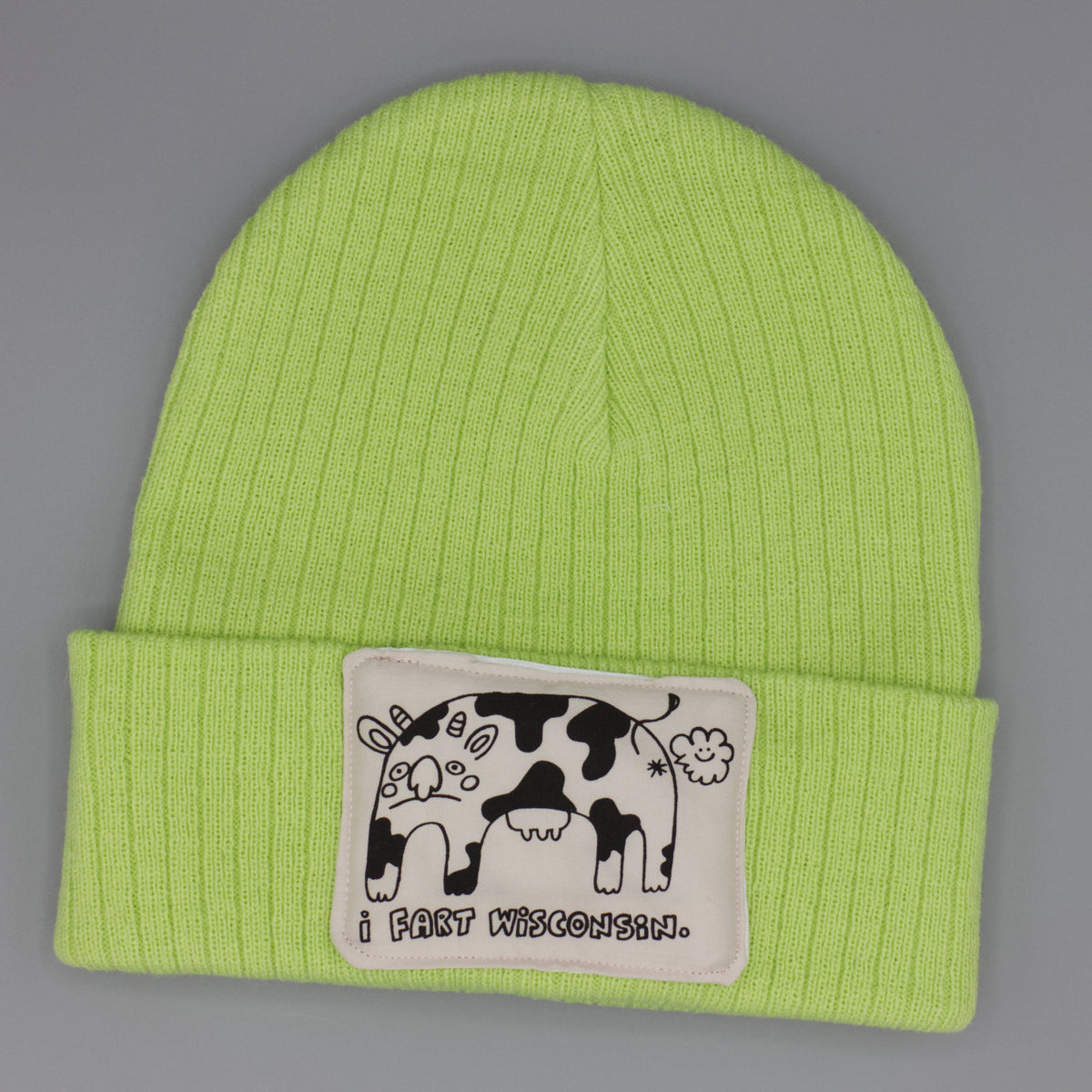 I Fart Wisconsin Beanie | Screen Printed Patch on Recycled Beanie