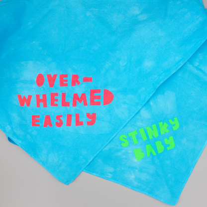 Pet Bandana | Stinky Baby or Overwhelmed Easily | Screen Printed & Hand Dyed Triangles