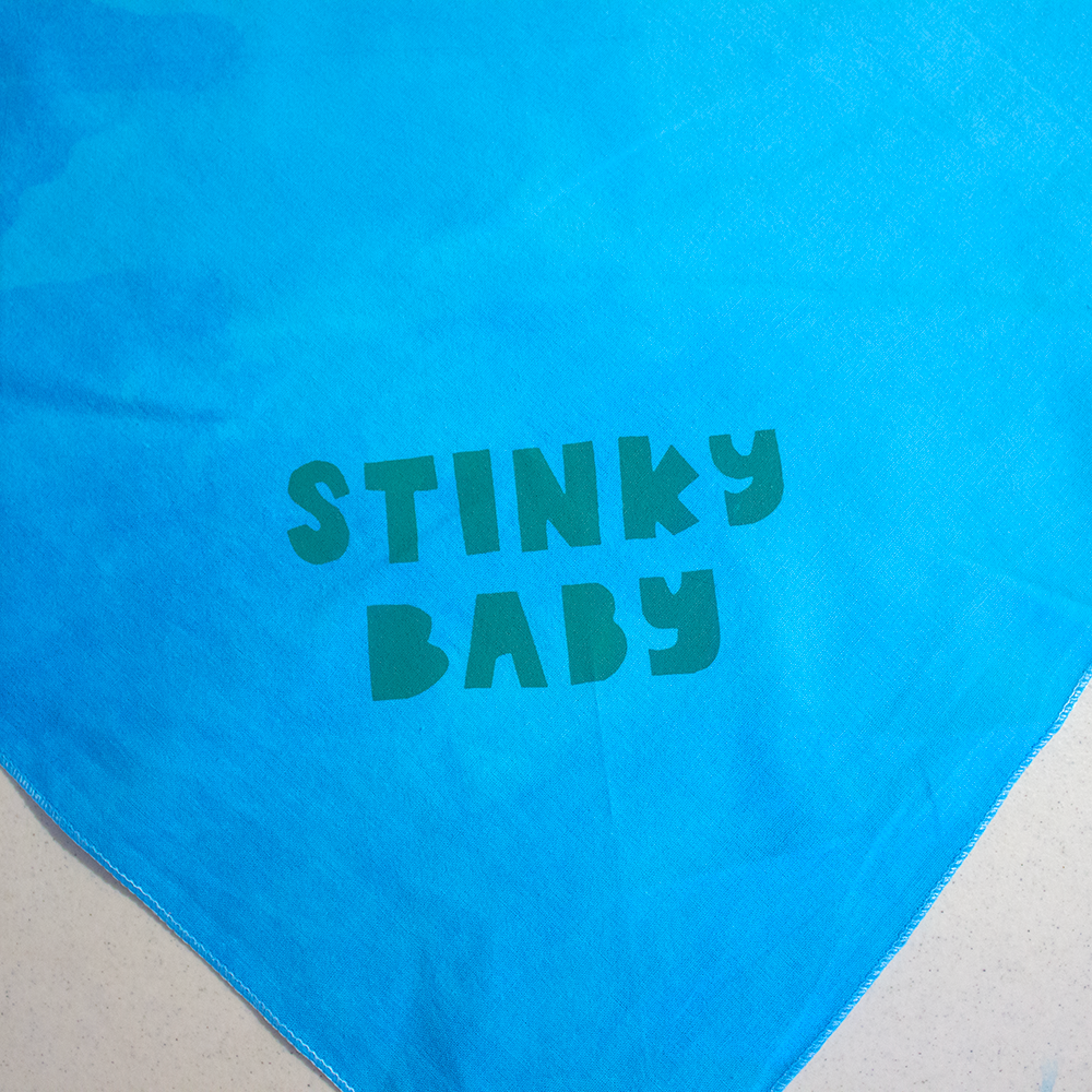 Pet Bandana | Stinky Baby or Overwhelmed Easily | Screen Printed & Hand Dyed Triangles