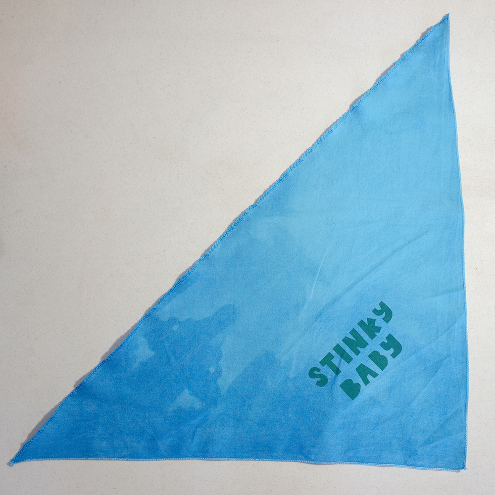 Pet Bandana | Stinky Baby or Overwhelmed Easily | Screen Printed & Hand Dyed Triangles