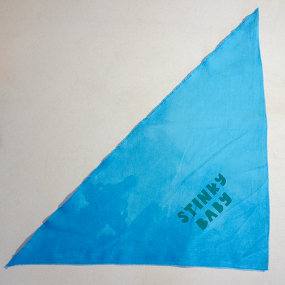 Pet Bandana | Stinky Baby or Overwhelmed Easily | Screen Printed & Hand Dyed Triangles