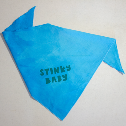 Pet Bandana | Stinky Baby or Overwhelmed Easily | Screen Printed & Hand Dyed Triangles