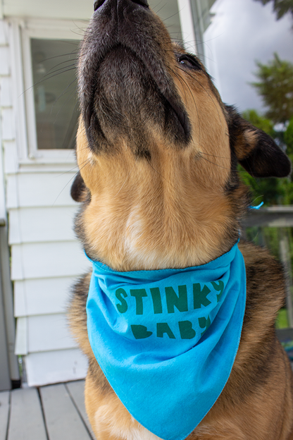 Pet Bandana | Stinky Baby or Overwhelmed Easily | Screen Printed & Hand Dyed Triangles