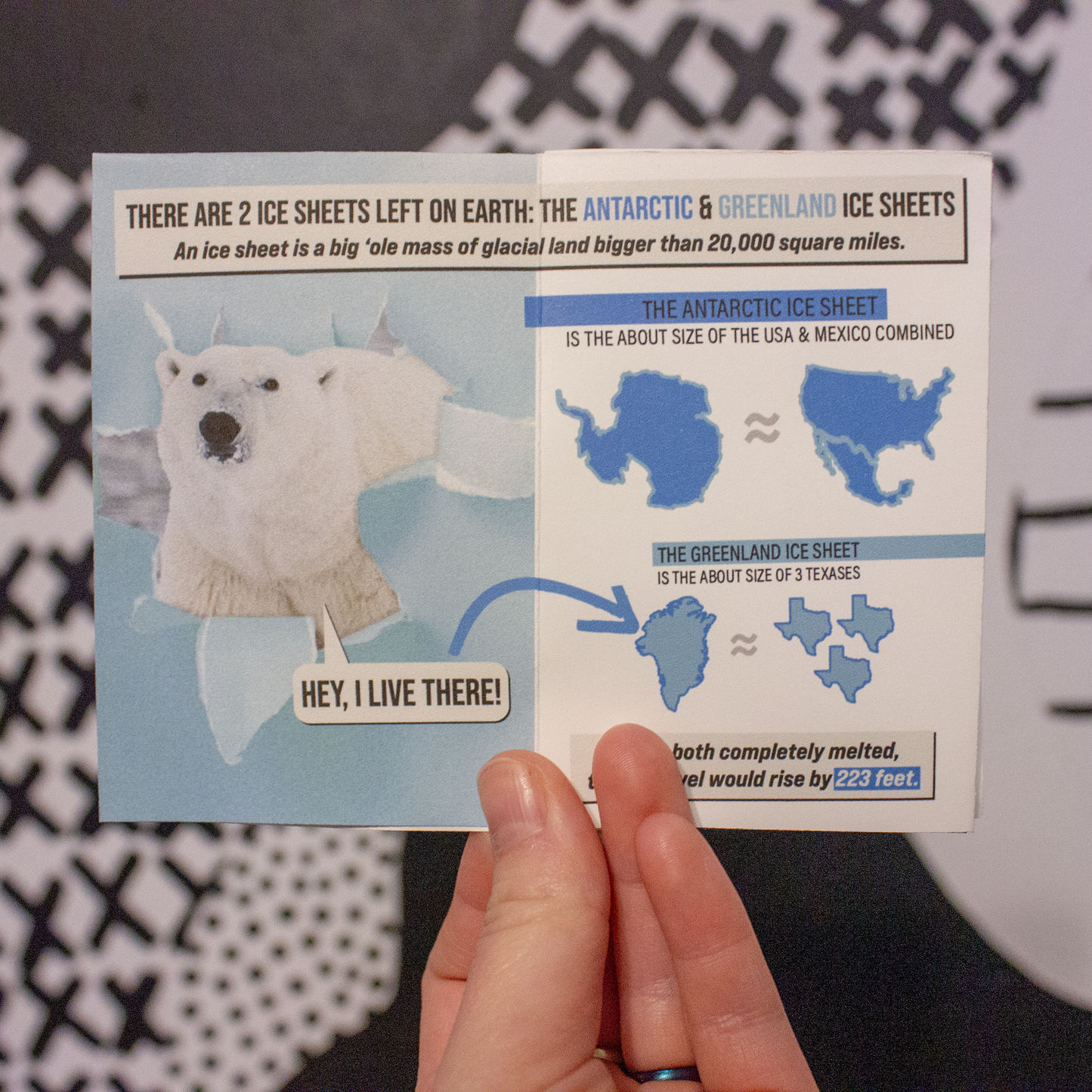 Who Cares About Polar Bears? An Educational Zine About Climate Change