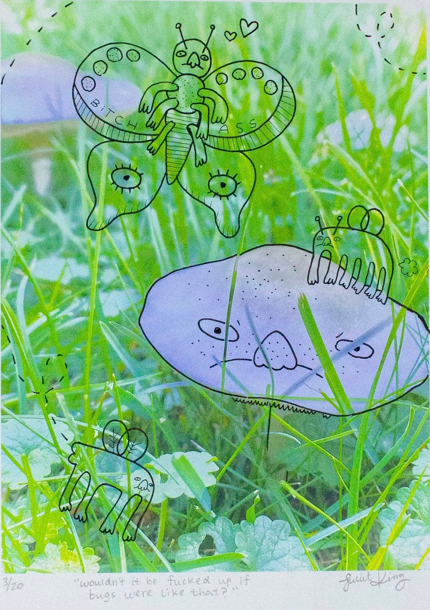 "Wouldn't It Be Fucked Up If Bugs Were Like That?" | Doodles on Mushroom Photograph